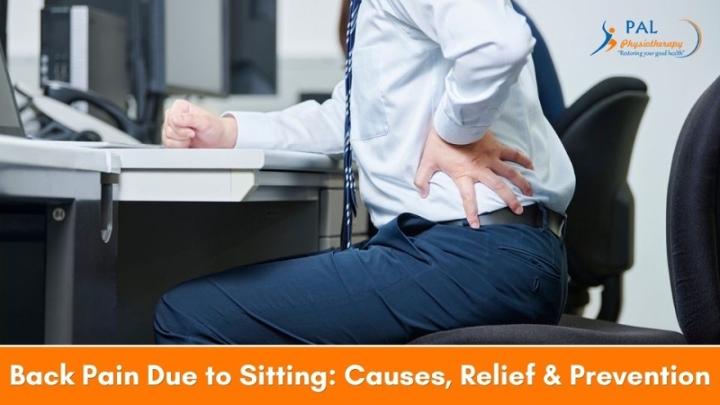 Back Pain Due to Sitting: Causes, Relief & Prevention for for Office Workers